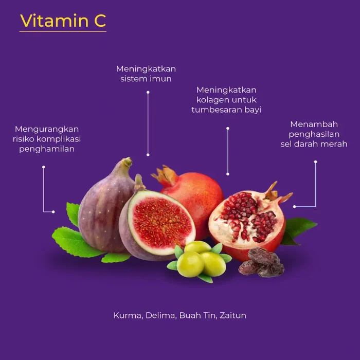 Amend SP Assets - Ingredients-04