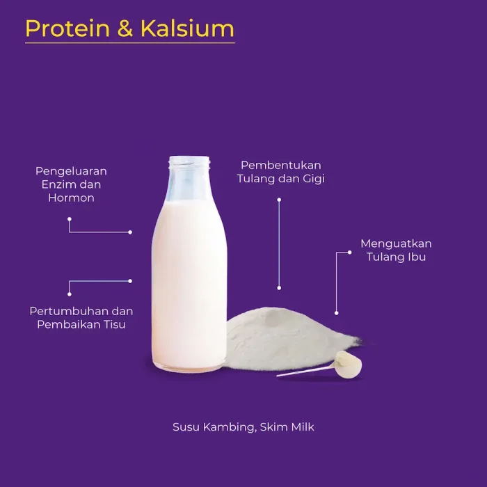 Amend SP Assets - Ingredients-06